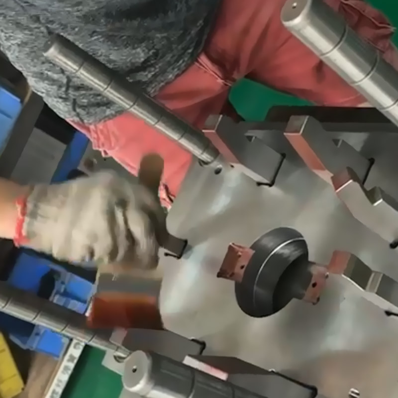 Mold video